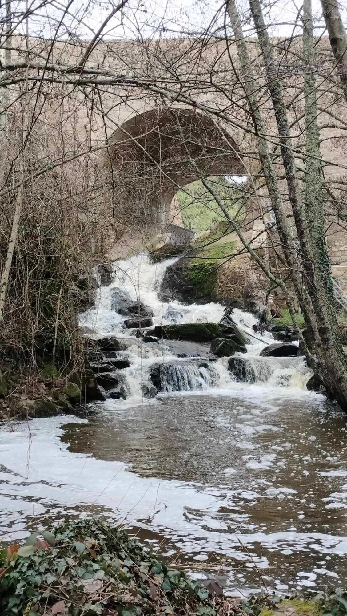Gite "La Petite" Saint-Benoit-du-Sault Eksteriør billede